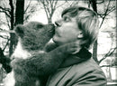 Skansen Bear - Vintage Photograph