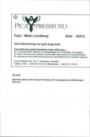 Skansen Bear - Vintage Photograph