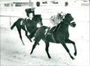 Britta"Bisse" Lundgren - Vintage Photograph