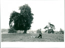 Canon Gerry Murphy - Vintage Photograph