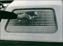 Volkswagen Golf Cabrio - Vintage Photograph