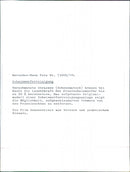 Mercedes-Benz - Vintage Photograph