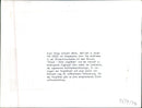 Volkswagen. - Vintage Photograph
