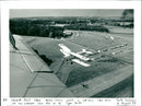 Tiger Moth - Vintage Photograph