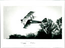 Tiger Moth - Vintage Photograph