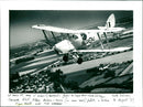 Tiger Moth - Vintage Photograph