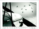Tiger Moth - Vintage Photograph