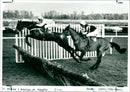 Tri Folene - Vintage Photograph