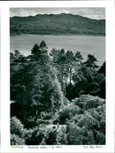 Scotland Arduaine Garden - Vintage Photograph