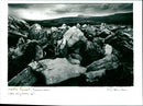 Limestone Pavement - Vintage Photograph