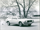 Volkswagen - Vintage Photograph