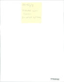 Birch trees lit up - Vintage Photograph