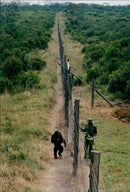 Kenya Nature Reserve - Vintage Photograph