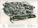 Volkswagen 1500s - Vintage Photograph
