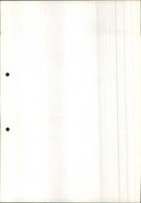 Mercedes Benz 250 E Coupe - Vintage Photograph