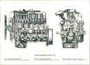 Mercedes-Benz 240 D 3.0 - Vintage Photograph