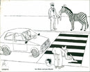 Volkswagen Comedy Sketches
70's/80's - Vintage Photograph