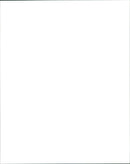 Mercedes Ruehl, Joan Cusack, Ellen Foley and O-Lan Jones - Vintage Photograph