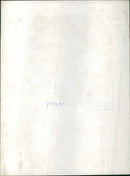 Daffodills - Vintage Photograph