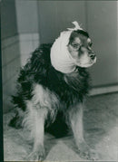 Post operation - Vintage Photograph
