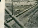 Train an airplane - Vintage Photograph