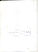 Man tending to his garden - Vintage Photograph