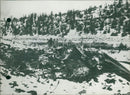 Mike Todd's private plane wreckage - Vintage Photograph