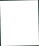 Airbus A319 - Vintage Photograph