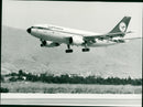 Airbus 310 - Vintage Photograph