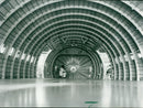 Airbus 310 - Vintage Photograph