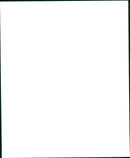 Airbus A340 - Vintage Photograph