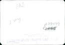SM.79 "Sparviero" (1936-1945) - Vintage Photograph