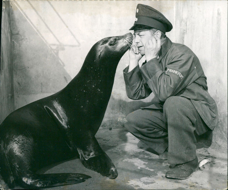 ANIMAL CAREGIVER ZOOPERSONAE MONKEY GRILLAS CAREIN OBERWARTES SCHACHERL ANI - Vintage Photograph