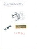 1987 ANIMALS EXOTASIUM LIZARDS IGUANA ESKINKE BASIL GECHOS AGAMEN YOUNG - Vintage Photograph