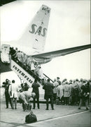 1968 Olympics - Vintage Photograph
