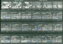 1950 BERLIN VESTAR ETY FILM KODAK TRI PAN MAT ANIMAL TAMES COL RICHTER - Vintage Photograph