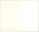 1985 LTKRIEG WALL RARE PLANTS ANIMAL SPECIES LIKE LIZARDS BAT ENDANGER - Vintage Photograph