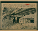 1985 LTKRIEG WALL RARE PLANTS ANIMAL SPECIES LIKE LIZARDS BAT ENDANGER - Vintage Photograph