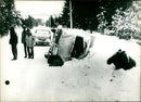 1969 STAKE UNKNOWN LLEUS CAUSED THESE MOST ANIMALS CAMERA REGIONS PASSING GRAND - Vintage Photograph