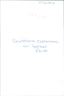 Costa Rican helmet flower - Vintage Photograph