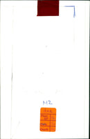 A large flock of ducks can be seen swimming in the lake. - Vintage Photograph