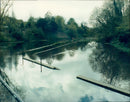 A woman taking a walk through the Wantage Cress Fields at Letcombe Bassett. - Vintage Photograph