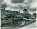 A herd of cows grazing in Lower Slaughter, Gloucestershire. - Vintage Photograph