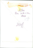 A young girl examines a caterpillar in a park. - Vintage Photograph