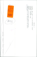 Sheep graze in the lush grass of Wigwell's Wildlife Nature Reserve in Charlbury, England on July 7, 1995. - Vintage Photograph