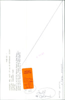 Conservationist Jessica Rea inspects Ladies Bedstraw at Wigwell's Wildlife Nature Reserve in Charlbury. - Vintage Photograph