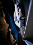 A cougar peers out from a rocky outcrop in a remote area of Alberta, Canada. - Vintage Photograph