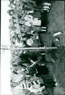 A group of trees in the fall season. - Vintage Photograph