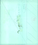 Three trees standing tall in a grassy field. - Vintage Photograph