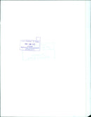 A woman stands in a vibrant autumnal landscape in Stockholm, Sweden in October 1962. - Vintage Photograph